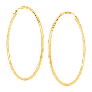 Hoop 2025 earrings png